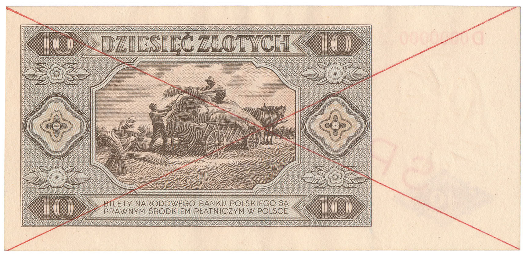 WZÓR / SPECIMEN 10 złotych 1948 seria D - Rzadkość R5